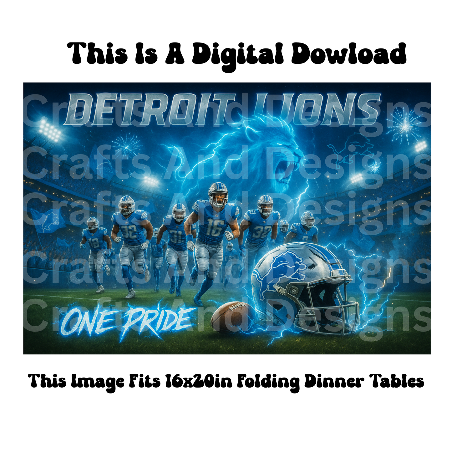 Detroit Lions One Pride Image