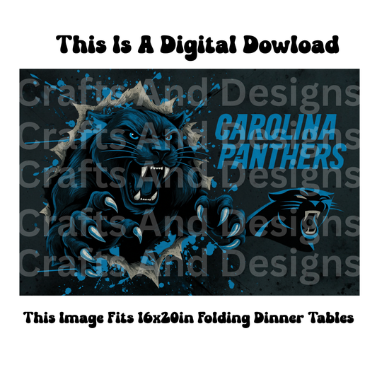 Carolina Panthers Image