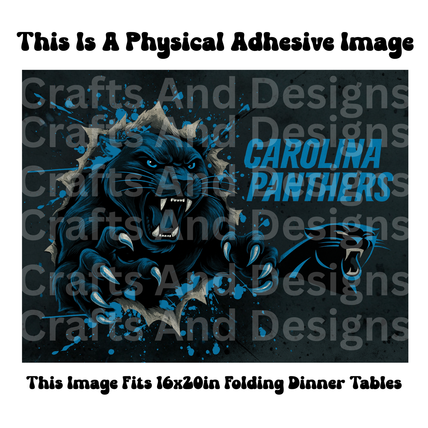 Carolina Panthers bursting out